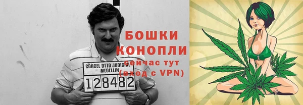 ГАЛЛЮЦИНОГЕННЫЕ ГРИБЫ Алзамай