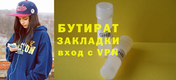 индика Алексин