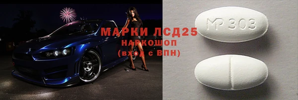 индика Алексин